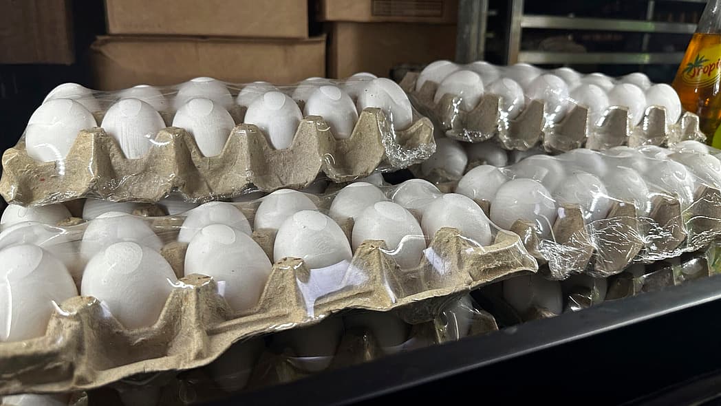 thegrio, egg prices, USDA, bird flu