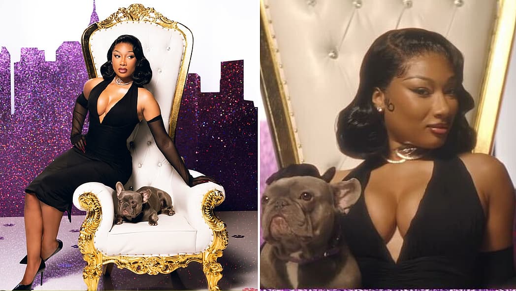 Megan Thee Stallion, Westminster Kennel Club, Megan thee stallion Westminster dog show, Westminster dog show, theGrio.com
