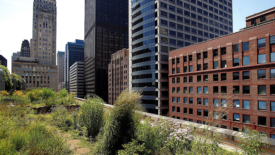 Green Rooftop Graces Chicago's City Hall
