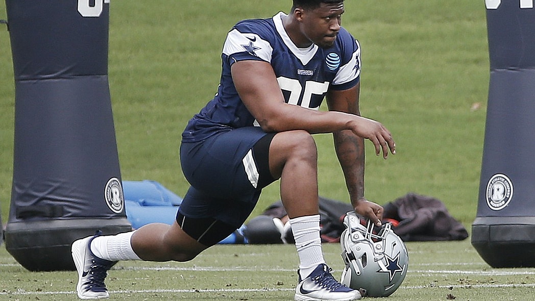David Irving