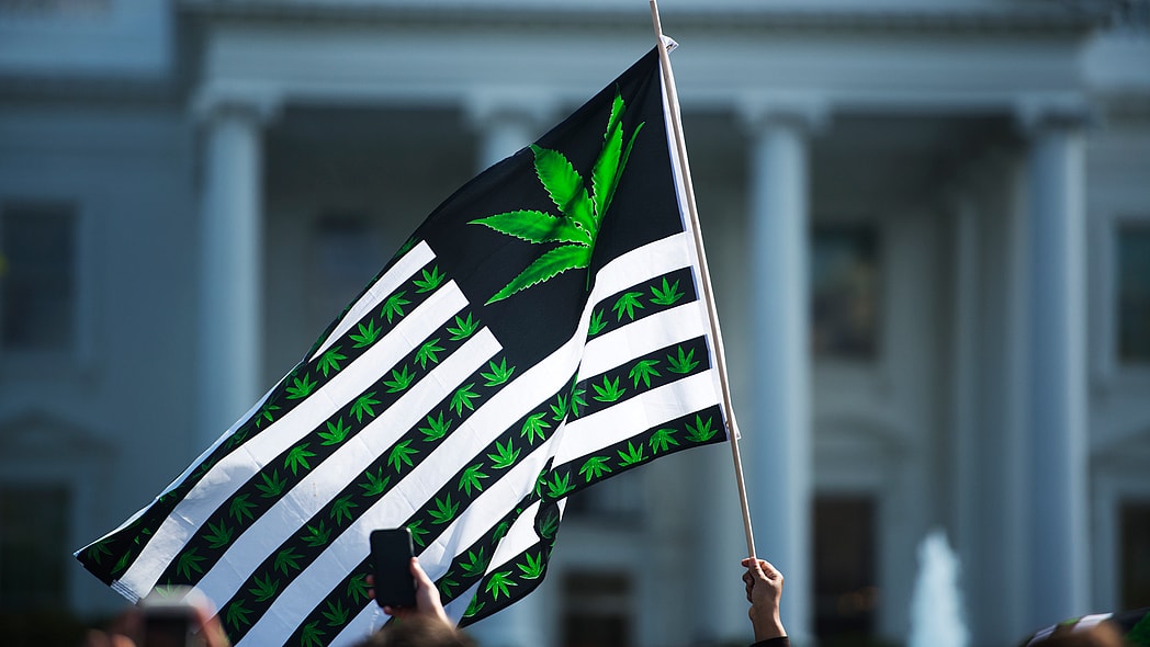 A marijuana flag