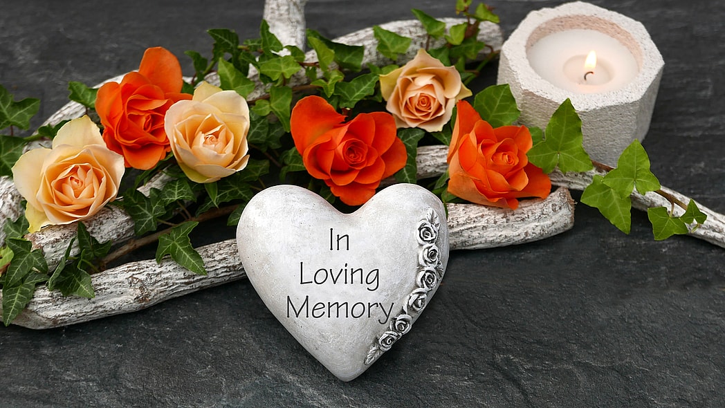 Lisa Blunt Rochester, charles Rochester, Inflation Reduction Act, health care, theGrio.com