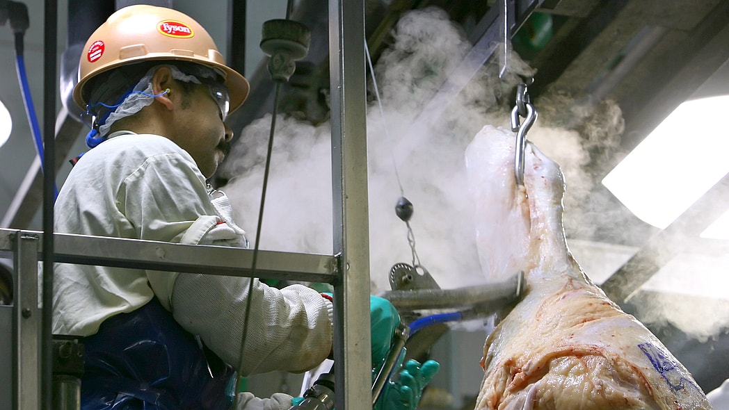 Tyson Foods, Nebraska,