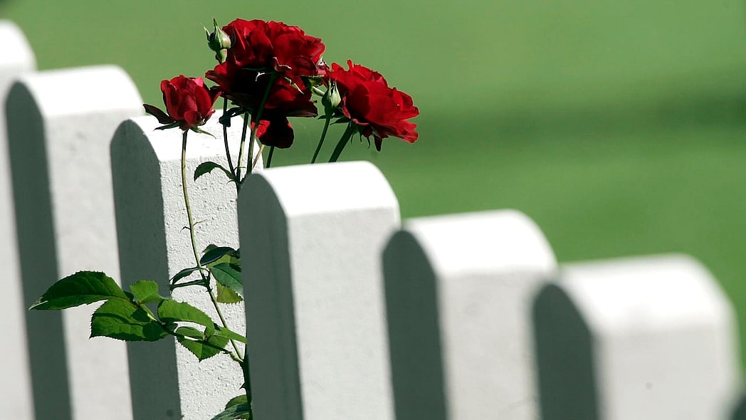 Netherlands, World War II, WW2, Black soldiers,