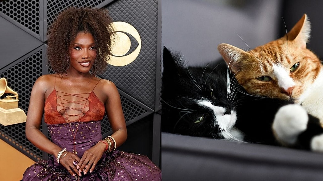 Doechii, cats, Black pet owners, Black cat owners, theGrio.com