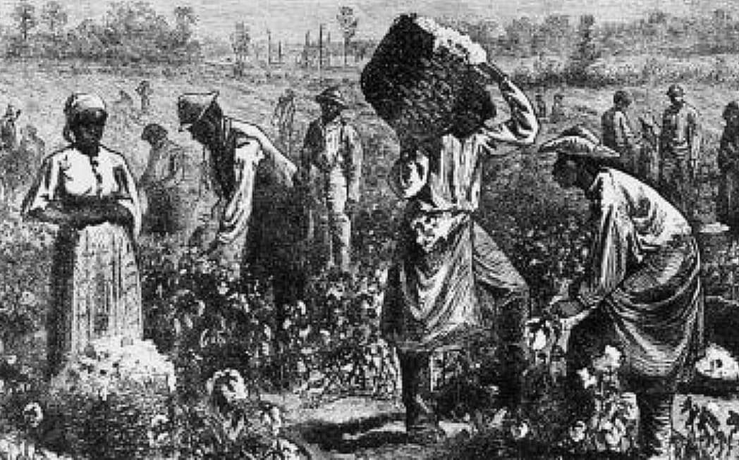 slavery, thegrio.com