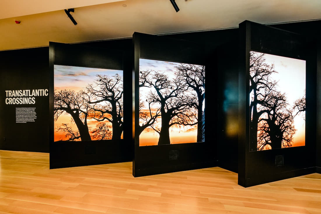 International African American Museum, IAAM, Black History