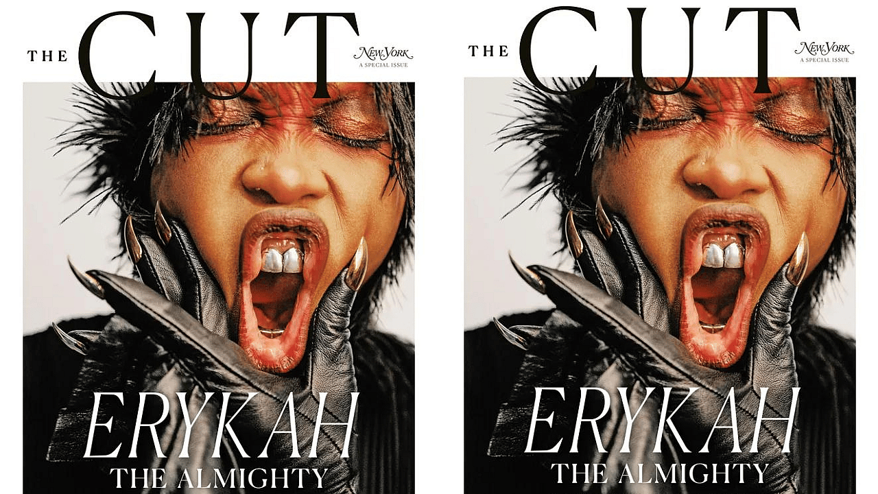 Erykah Badu The Cut, Erykah Badu head wrap, Erykah Badu fashion 
theGrio.com