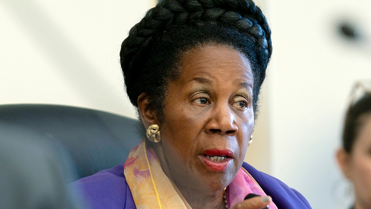 House Judiciary Crime and Federal Government Surveillance Subcommittee ranking member Representative Sheila Jackson Lee