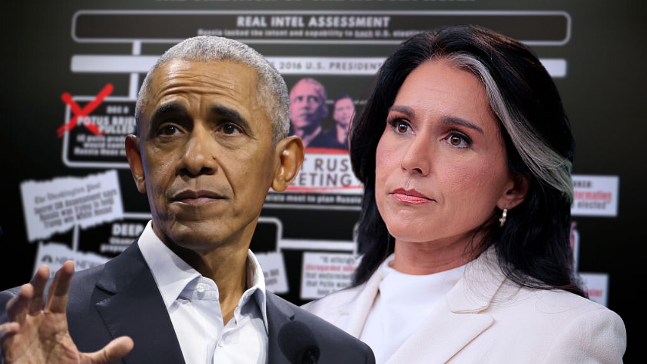 Barack Obama, Tulsi Gabbard, theGrio.com