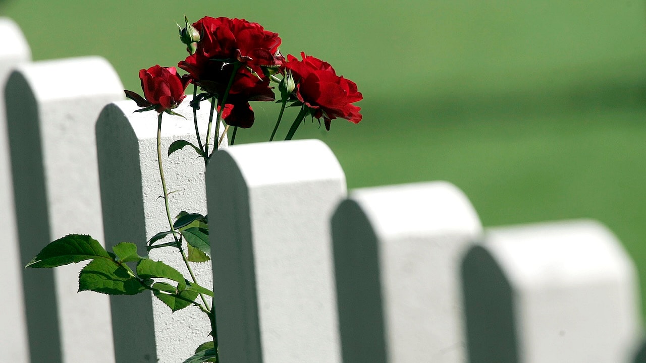 Netherlands, World War II, WW2, Black soldiers,