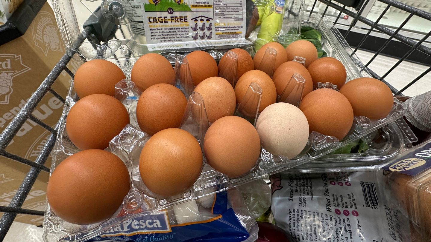 Inflation, Trump Administration, theGrio.com