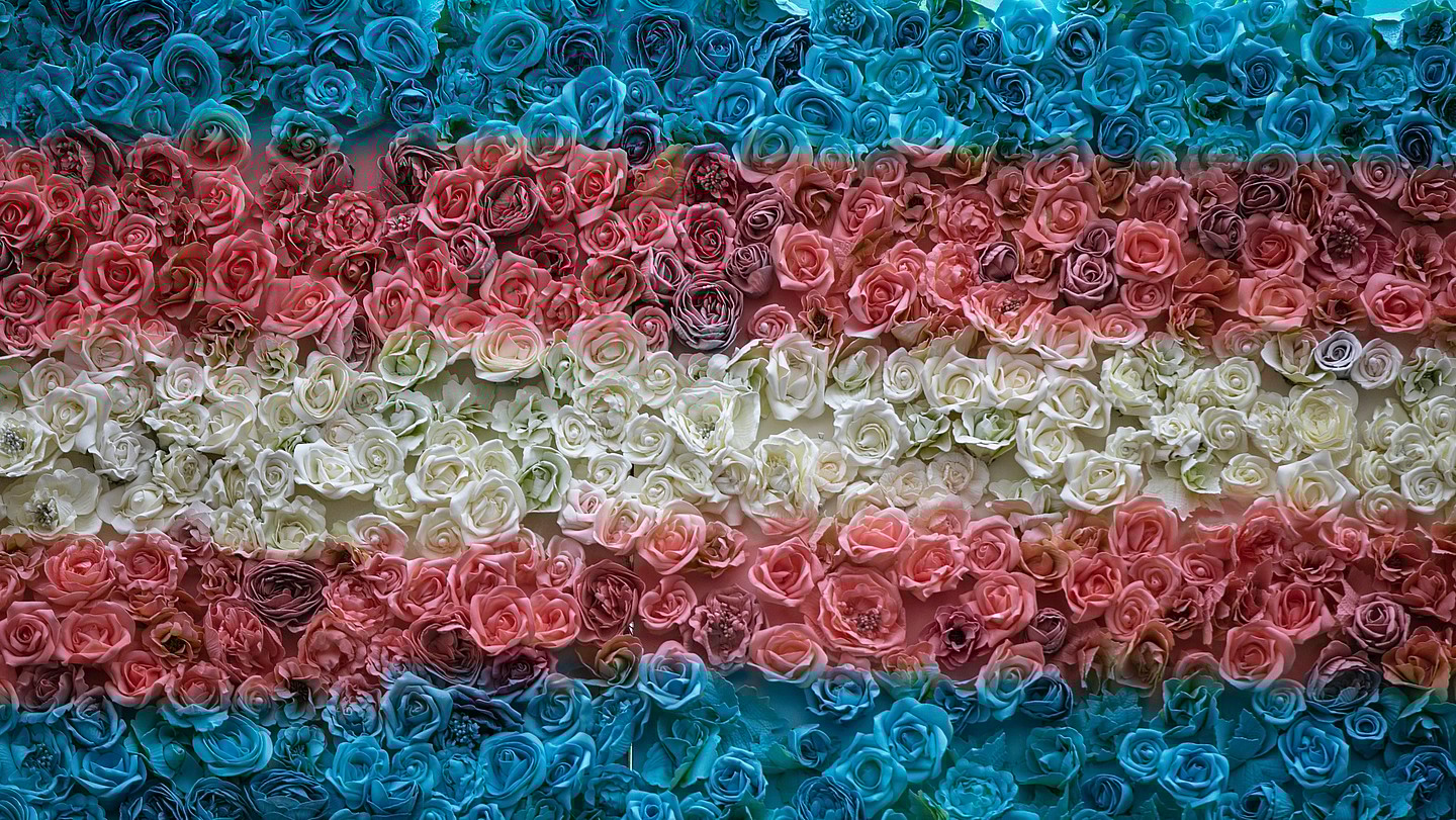 Transgender Day of Remembrance, transgender, trans rights, trans remembrance, trans safety, transgender violence, theGrio.com