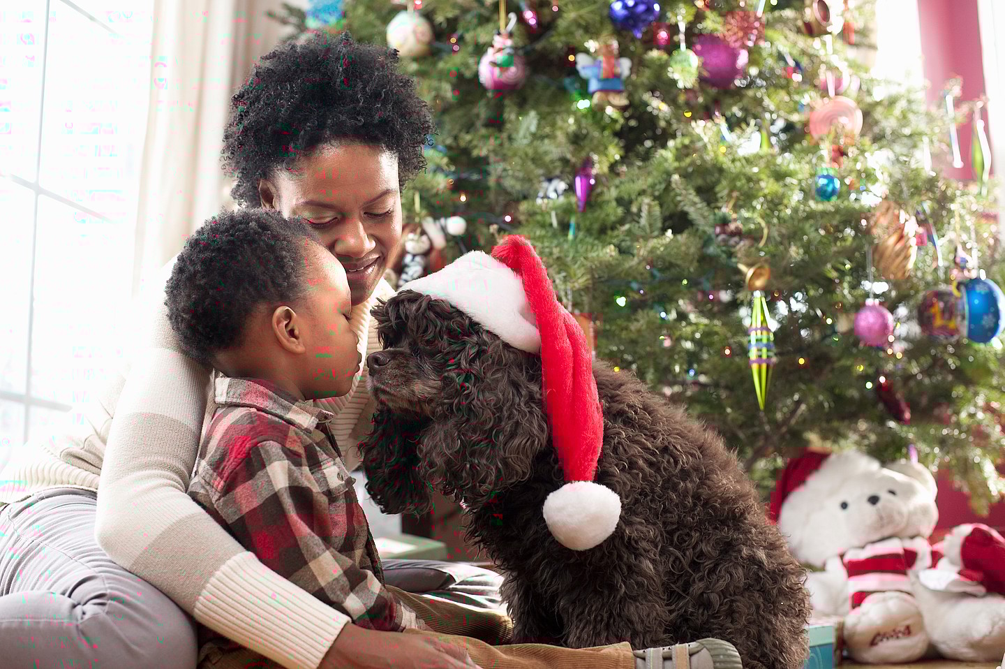 Pet Holiday Gift Guide, Black-owned pet brands, theGrio.com