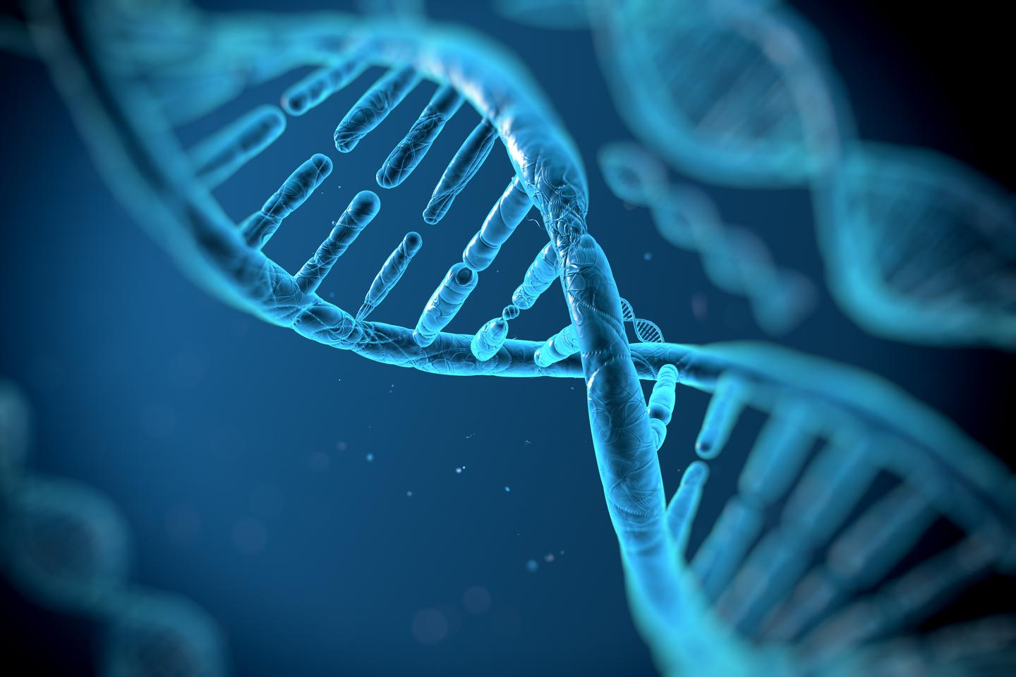 American Society of Human Genetics