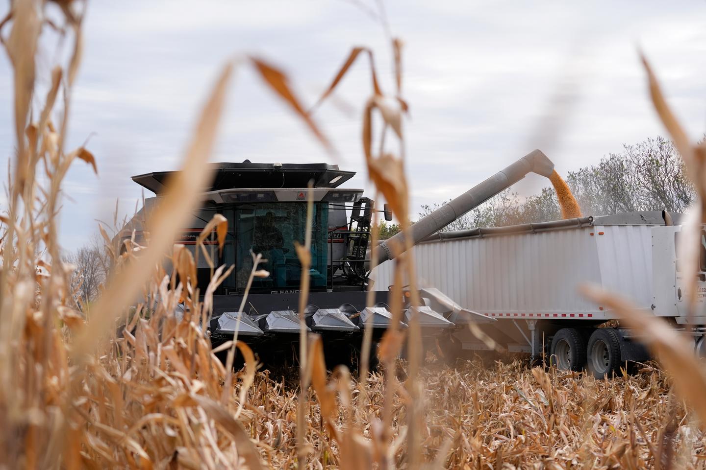 trump tariffs, Trump tariffs consumers, Trump trariffs farmers theGrio.com