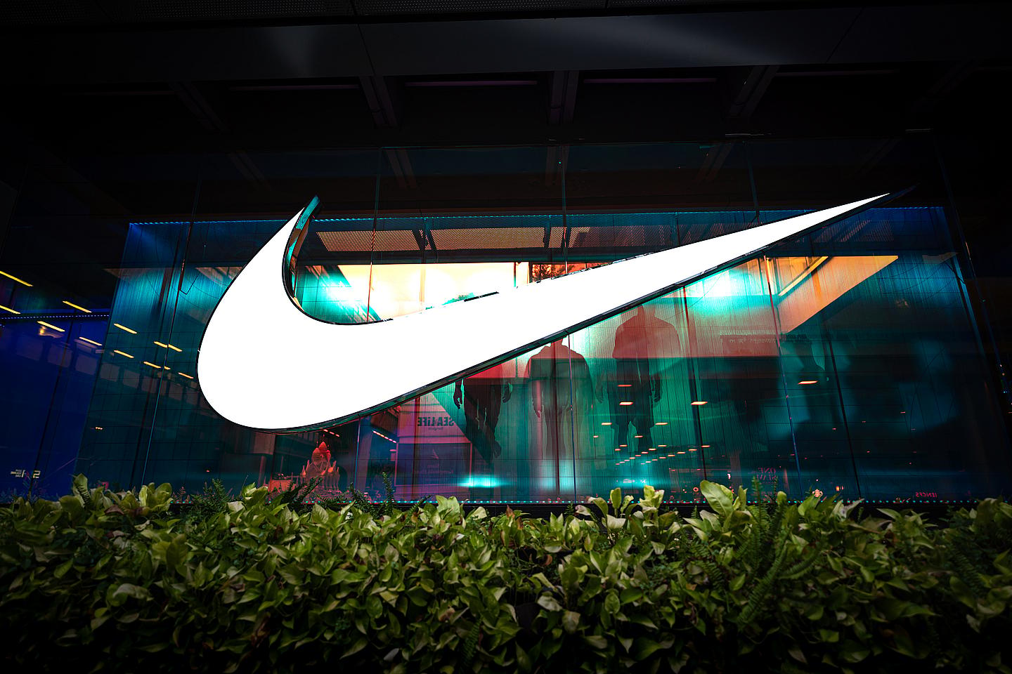 Nike lawsuit, Nike EEOC, Nike EEOC investigation, Nike discrimination, Nike Equal Employment Opportunity Commission, Andrea Lucas Nike, Trump administration DEI, Nike DEI, Nike DEI investigation theGrio.com