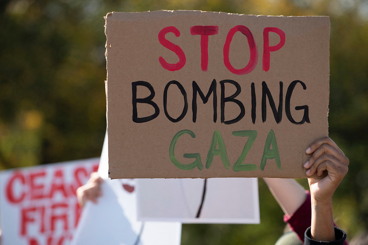 Protesters attend a rally to denounce the Israeli military operations in Gaza
