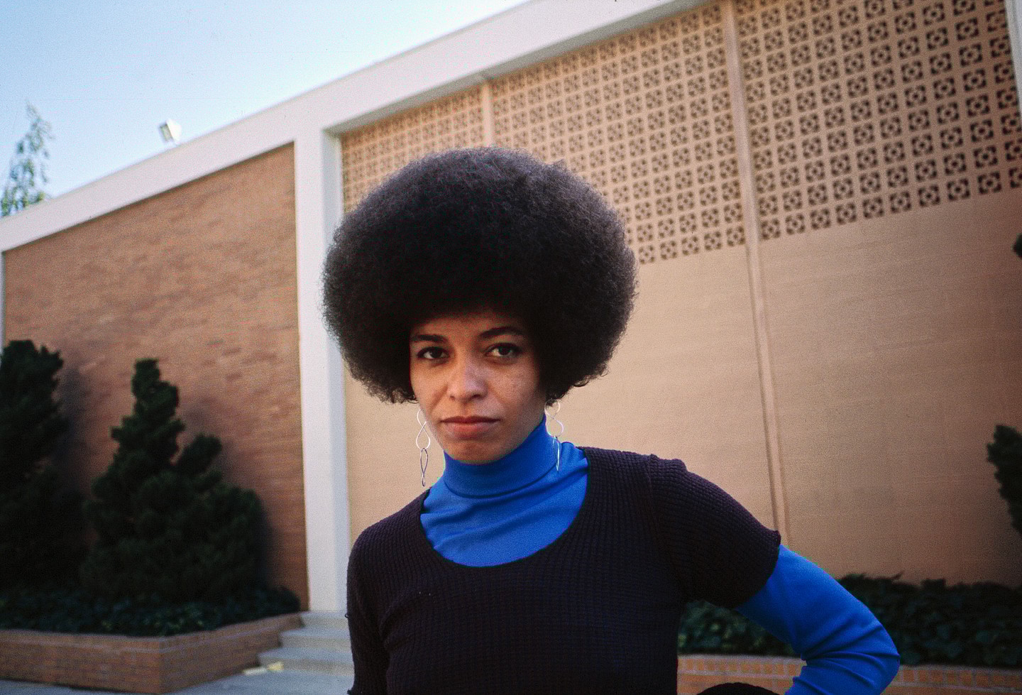 Angela Davis, Communist writer and militant activist