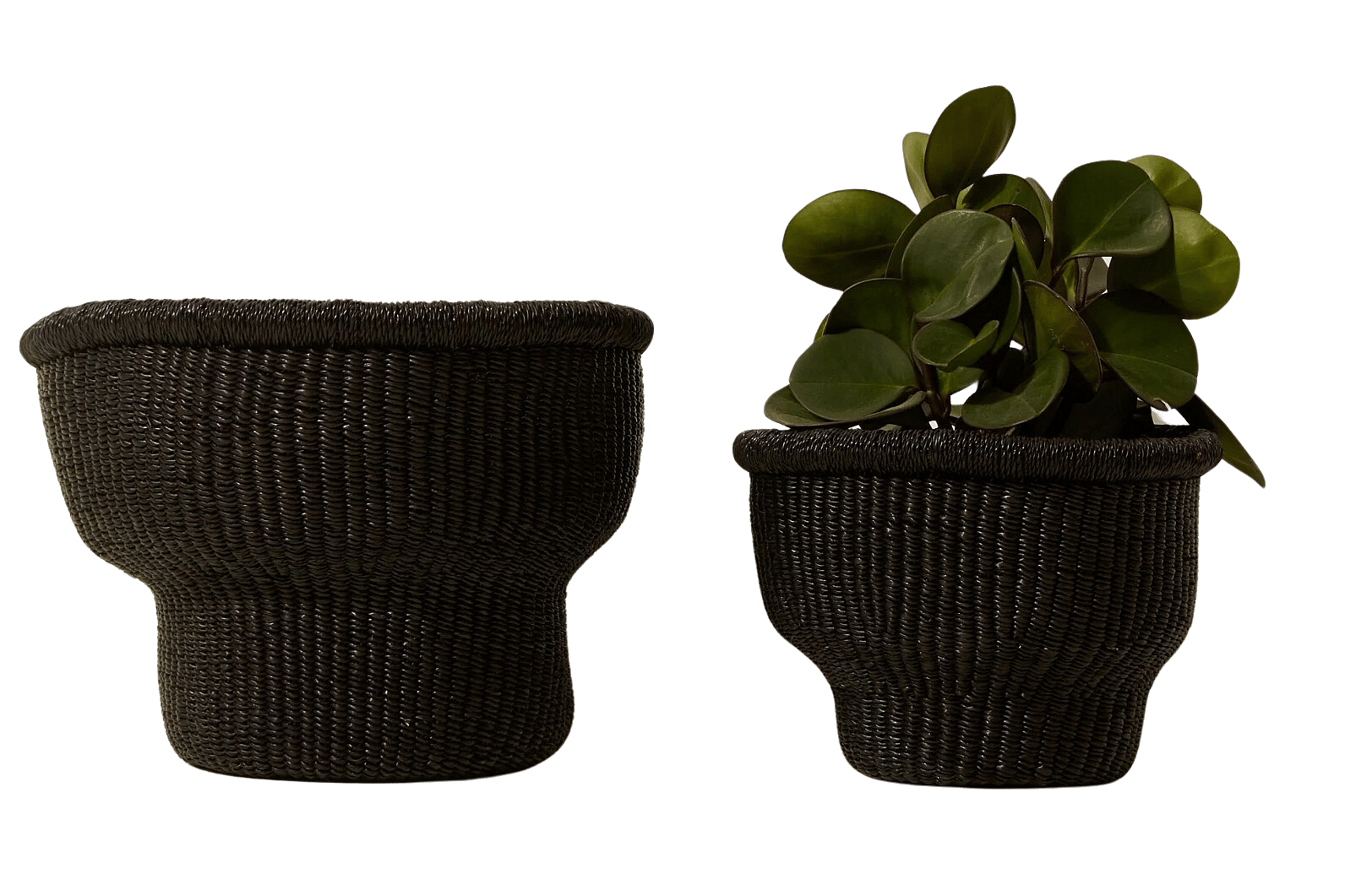 Gift like theGrio, 25 Days of Holiday, gifts that give gift guide, Black-owned brands gift guide, Black-owned brands that give back, Black-owned charities, The Curiosity Lab, Brown Girl Jane, Deon Libra, Brother Vellies, SHE CAN wines, Mcbride Sisters Wine, BLK & Bold coffee, Partake Foods, Alaffia, Jungalow, Goodee, House of Marley, theGrio.com