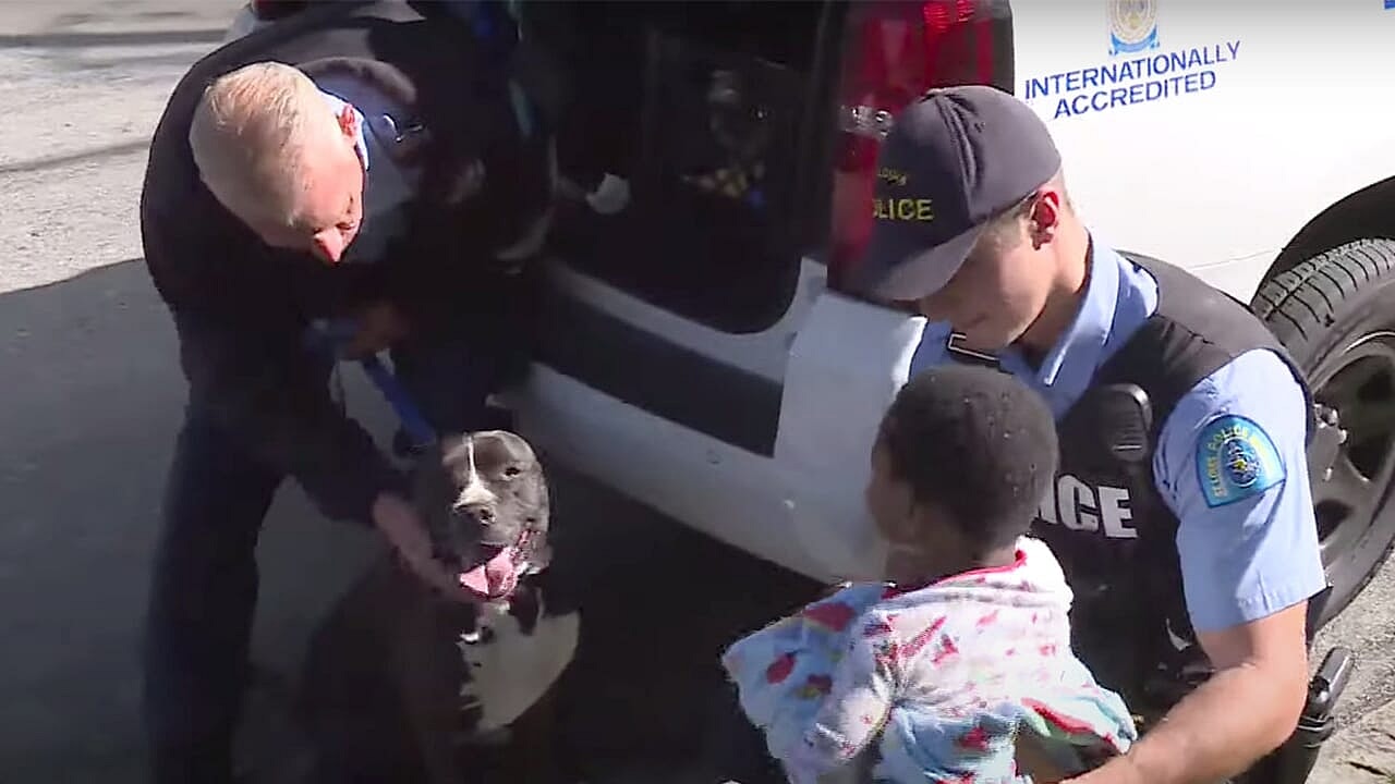 St. Louis toddler thegrio.com