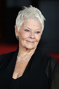 Judi Dench thegrio.com 
