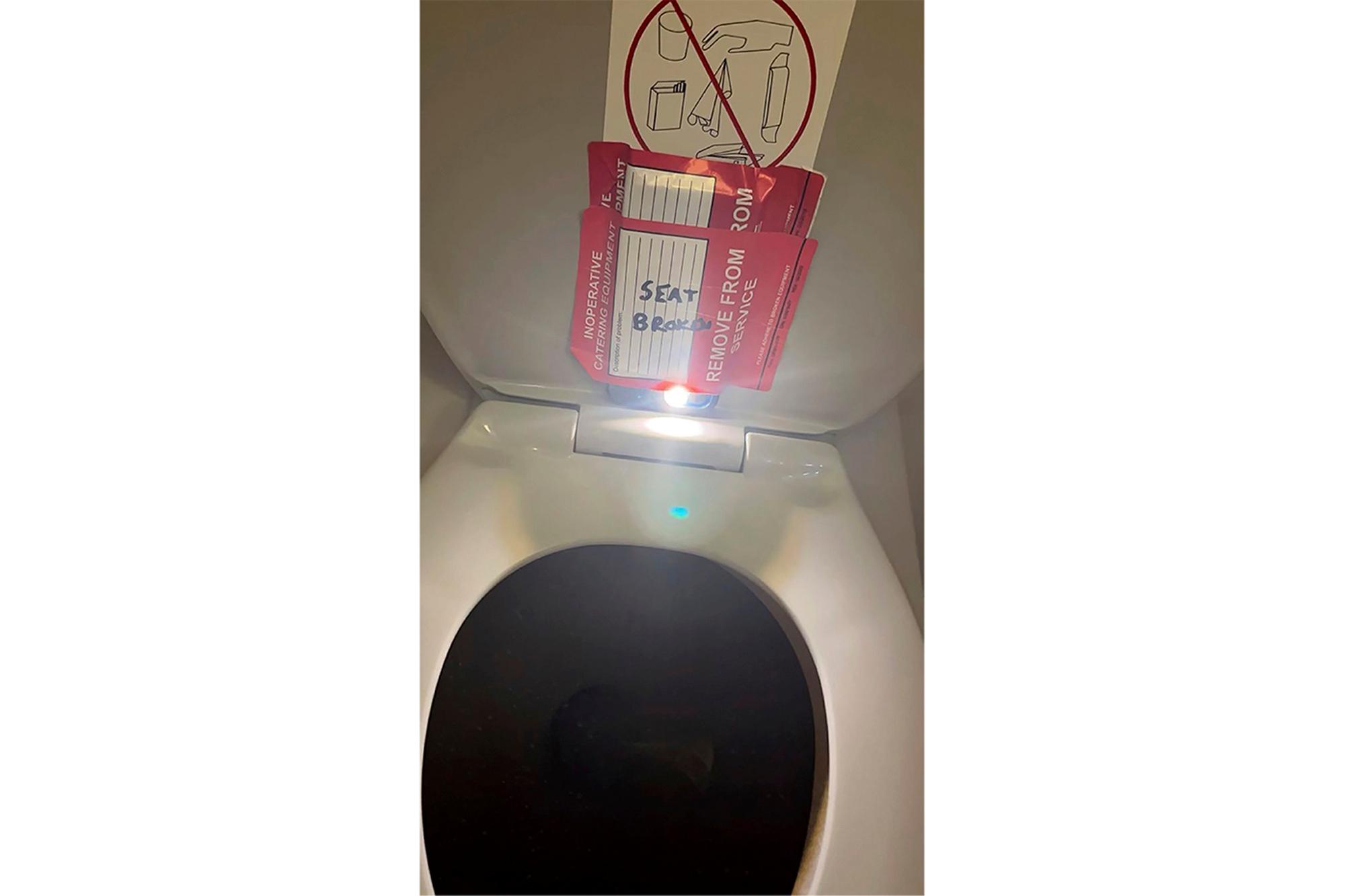airplane bathroom, theGrio.com