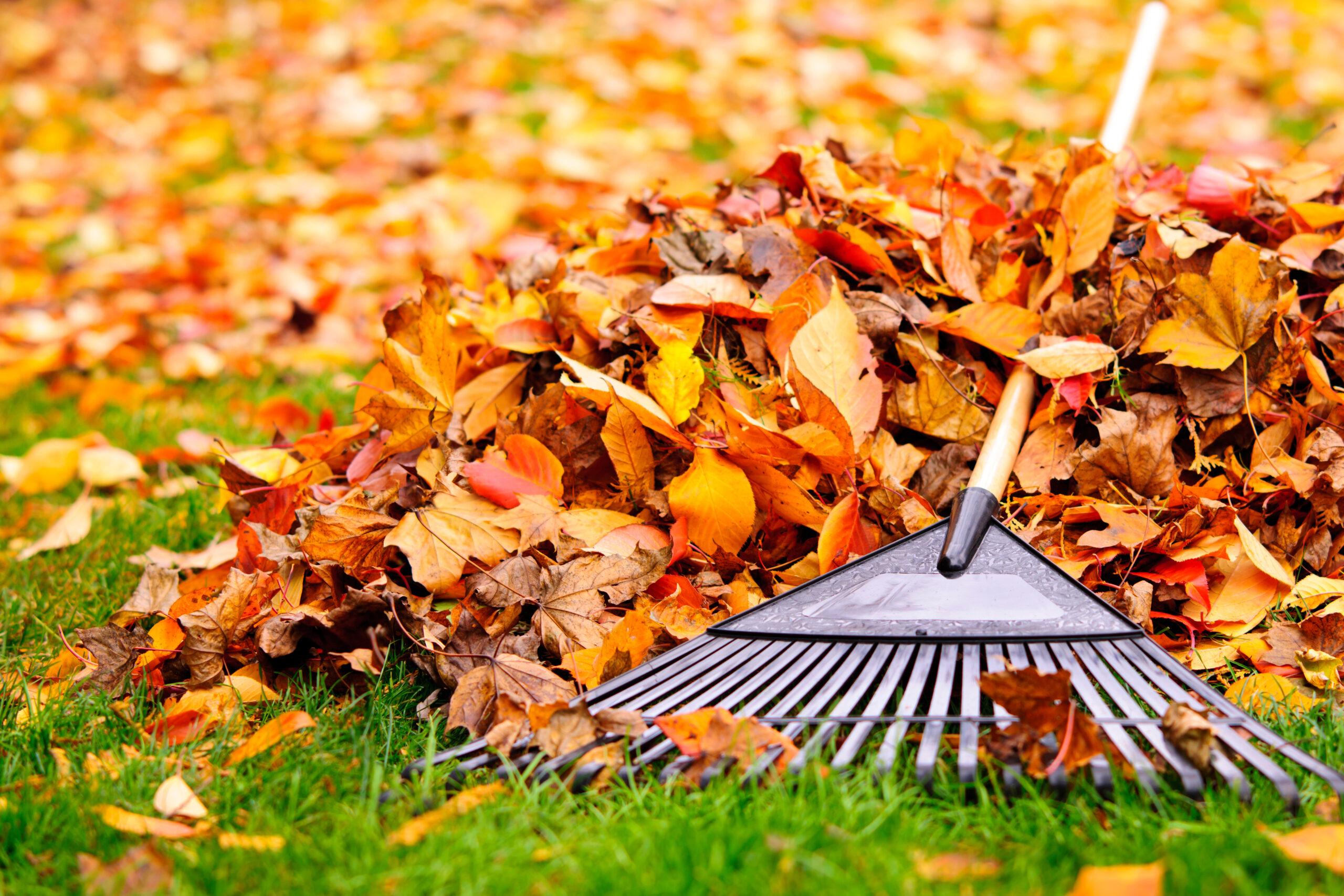 fall, autumn, equinox, solstice, theGrio.com