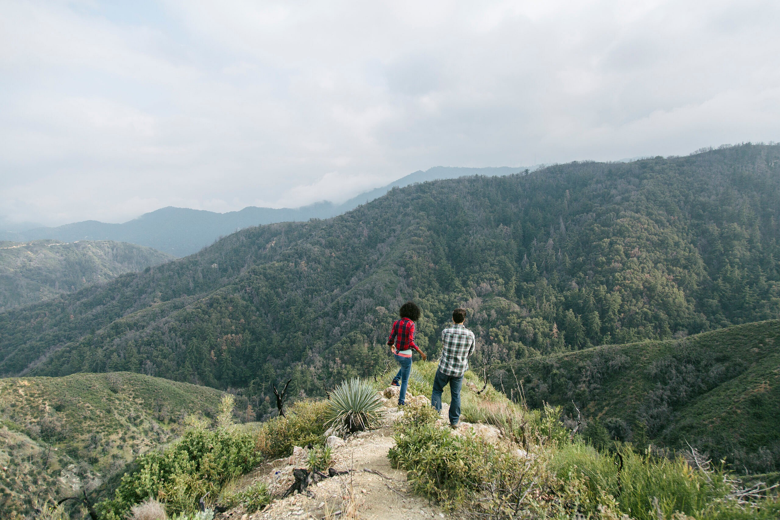 Ecotourism theGrio.com