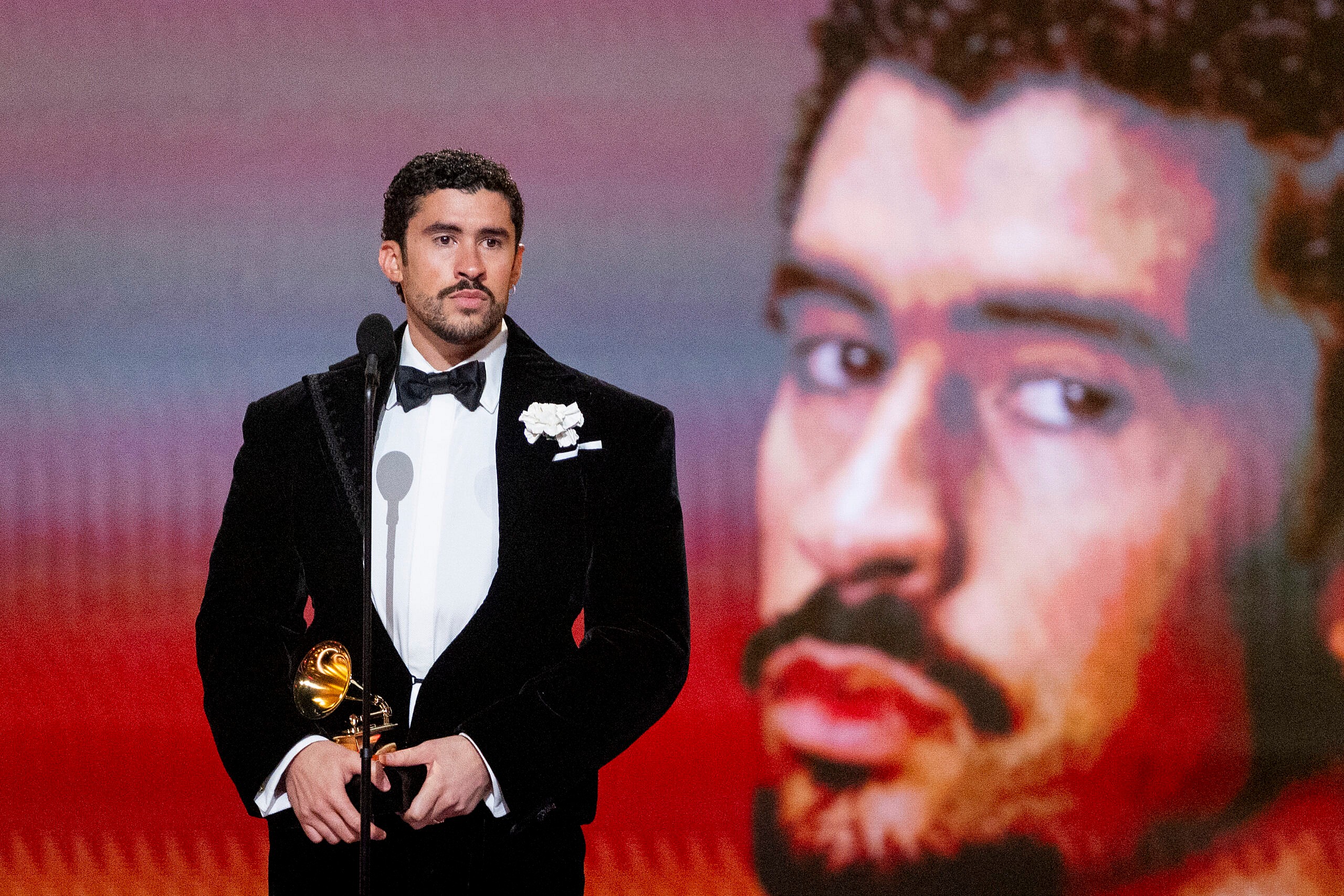 who is Bad Bunny?, Bad Bunny, Bad Bunny Super Bowl, Bad Bunny Super Bowl halftime show thegRIO.COM