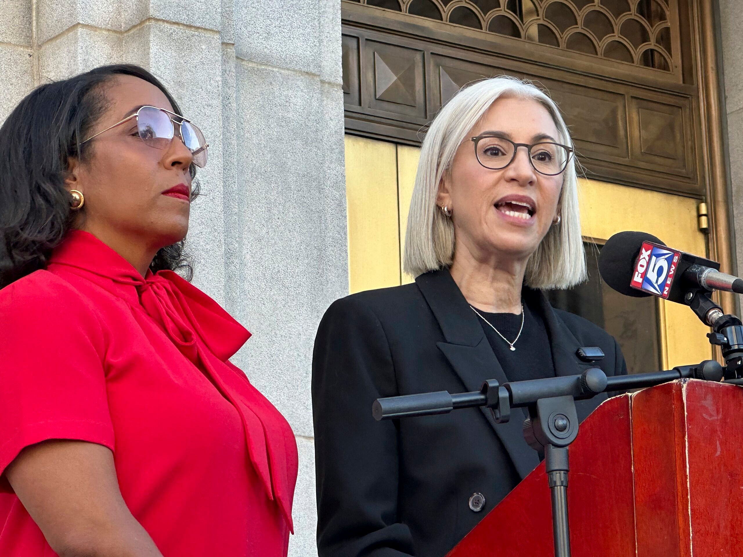 Georgia Fulton County, Georgia fines, Georgia fulton county republicans, Fultone county $10,000 theGrio.com