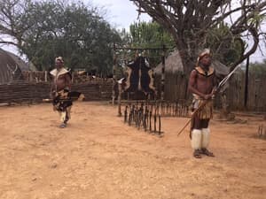 Africa thegrio.com 