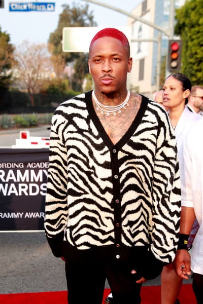 YG