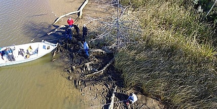 Clotilda thegrio.com