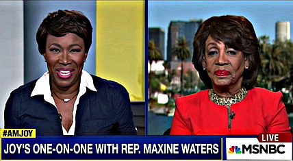 Maxine Waters on MSNBC with Joy Reid thegrio.com