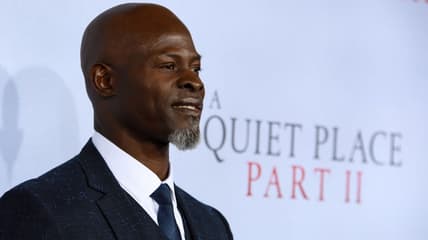 Djimon Hounsou theGrio.com