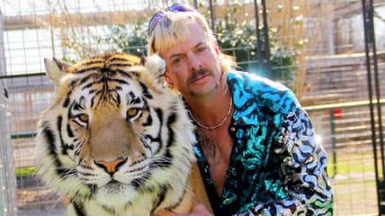tiger king