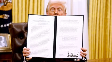 Donald Trump, theGriol.com