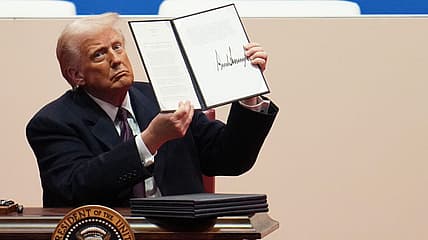 Donald Trump, theGrio.com