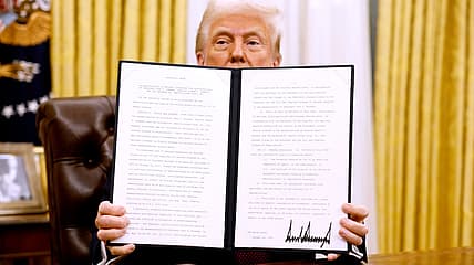 Donald Trump, theGriol.com
