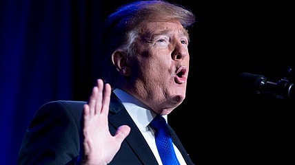 Donald Trump thegrio.com