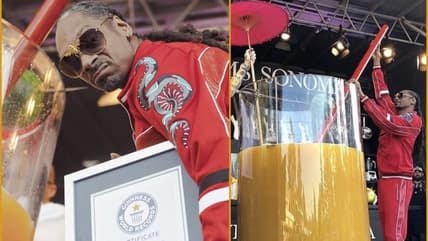Snoop Dogg gin and juice thegrio.com