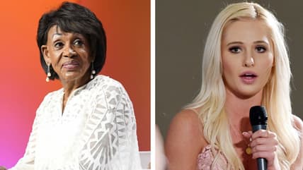 maxine waters tomi lahren thegrio.com