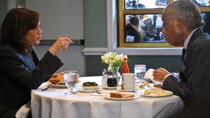 Kamala Harris Al Sharpton thegrio.com
