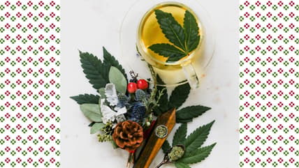 CBD holiday thegrio