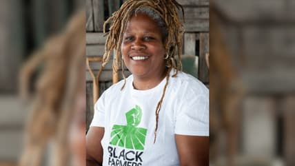 Karen Washington Faces of Change Bronx thegrio.com