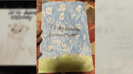 California school district racism