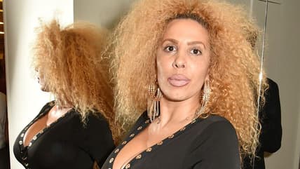 Afida Turner, Ronnie Turner, Tina Turner, IVF, theGrio.com