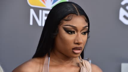Hip-hop star Megan Thee Stallion