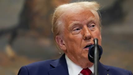 Donald Trump immigration visas